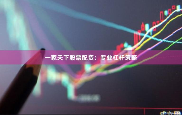 一家天下股票配资：专业杠杆策略