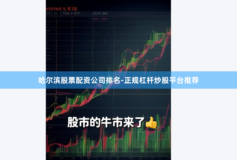 哈尔滨股票配资公司排名-正规杠杆炒股平台推荐